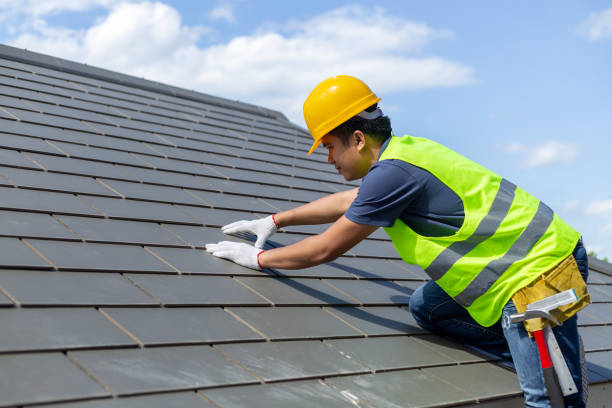 Best Roof Maintenance Services  in Romeo, MI