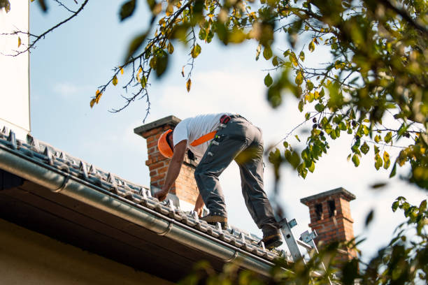 Best Local Roofing Companies  in Romeo, MI