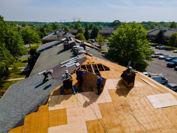 Best Storm Damage Roof Repair  in Romeo, MI