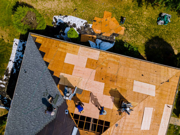 Best Slate Roofing Contractor  in Romeo, MI