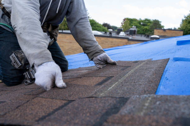 Best Residential Roofing Contractor  in Romeo, MI