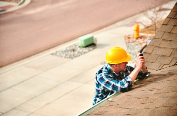 Best Roof Gutter Cleaning  in Romeo, MI