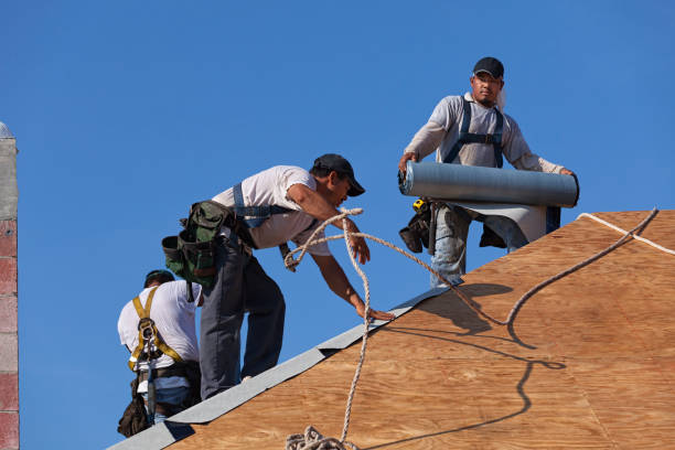 Roof Gutter Cleaning in Romeo, MI