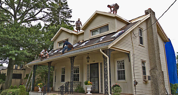 Best Roofing Contractor Near Me  in Romeo, MI