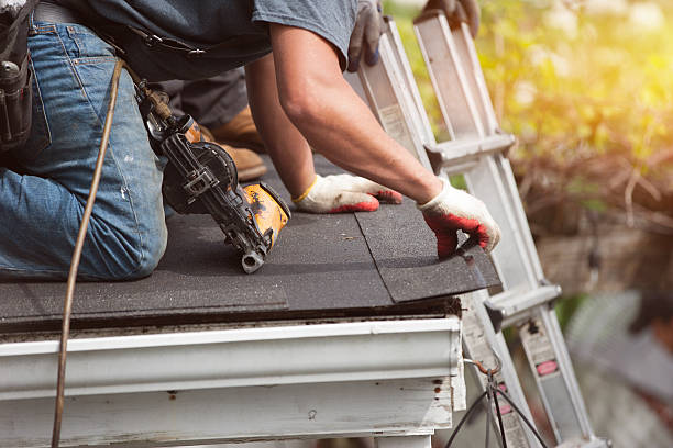 Best Roof Maintenance Services  in Romeo, MI