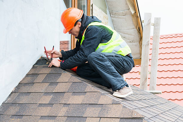 Best Local Roofing Companies  in Romeo, MI