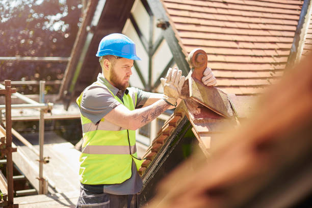 Best Roof Inspection Near Me  in Romeo, MI