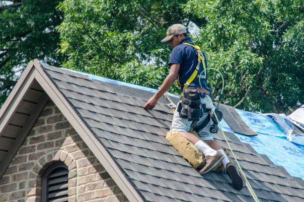 Best Roof Maintenance Services  in Romeo, MI
